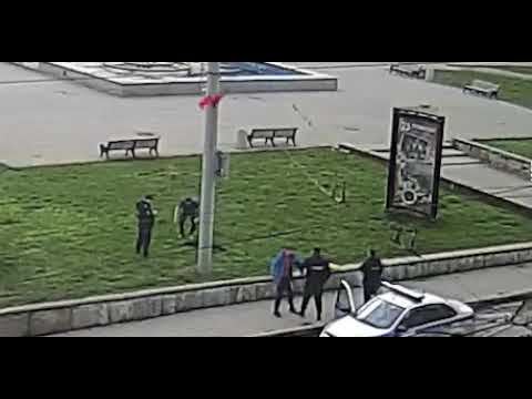 г. Рыбинск. Полицейский застрелил собаку которая начала защищать своего спящего хозяина..