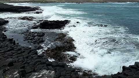 Chatham Island Basalt Columns