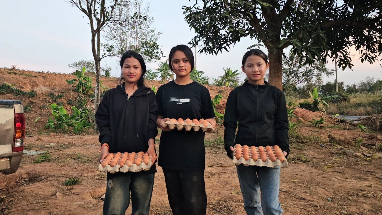 มอบไข่ให้สามสาวน้องใจดีน้องแตงจริงน้องเรียง 13 กุมภาพันธ์ ค.ศ. 2026