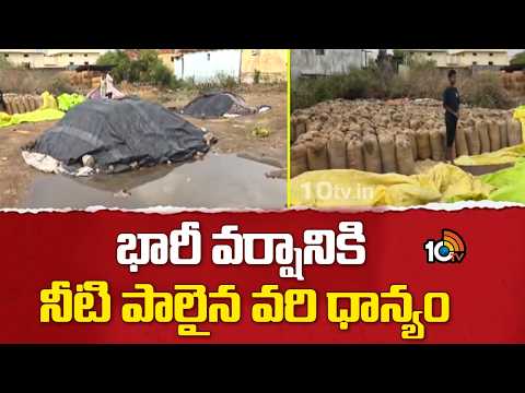 Huge Crop Loss to Farmers Due to Heavy Rains | భారీ వర్షానికి నీటి పాలైన వరి ధాన్యం | 10TV News - 10TVNEWSTELUGU