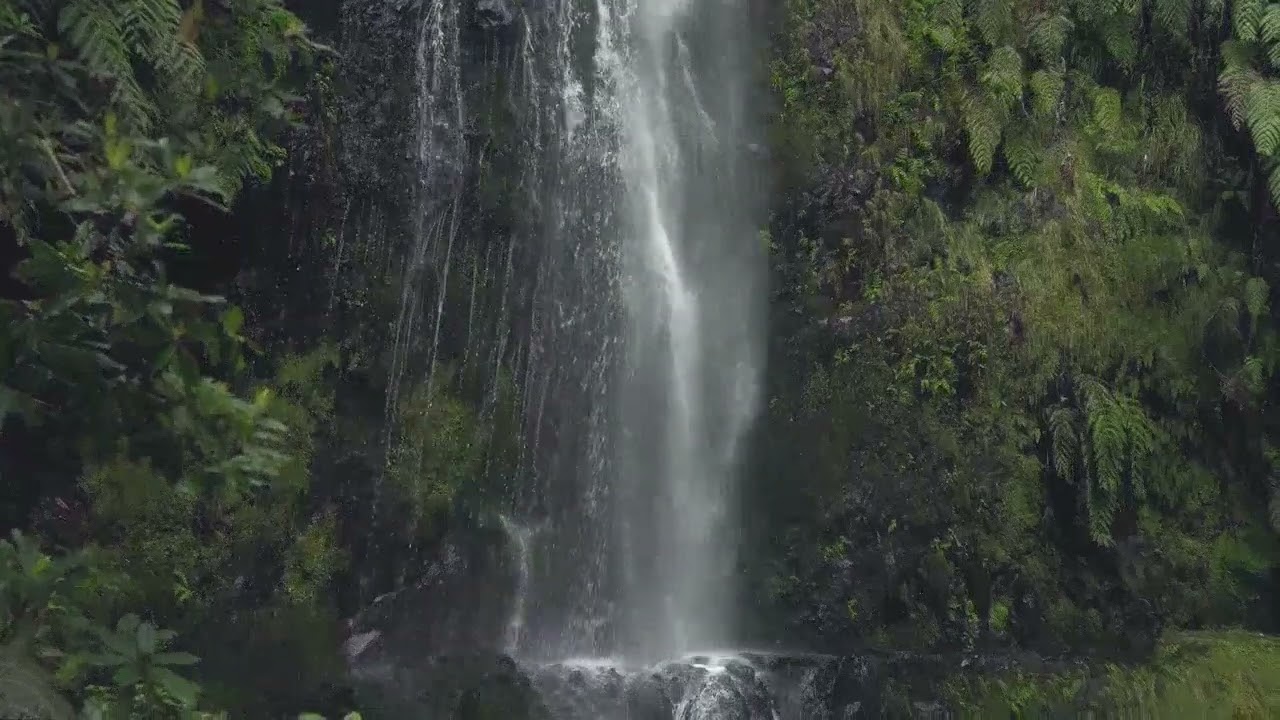 Wander Portugal Romantic scenes: 8-Min Animated Journey in Porto  | Lo-Fi 2025