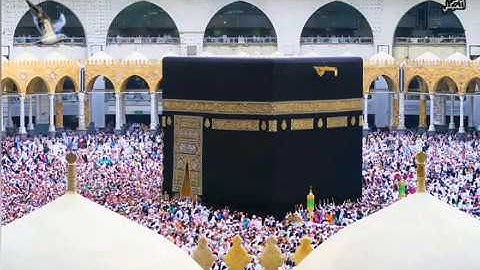 #سورة_الإخلاص"حالات وتساب دينية"الشيخ ماهر المعيقلي"