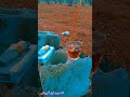تصميمي رايكم اجمل موال حمصي يا عين حاجي بكاء 