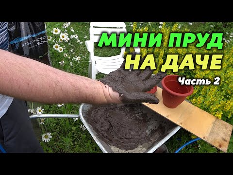 Мини пруд на даче. Часть 2. Сажаем Нимфею по фен-шую! Или нет?