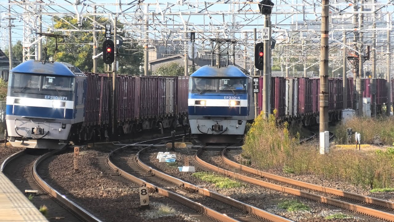 【珍しい！】久しぶりに見た貨物列車同士の並走/夕方の名古屋を走る貨物列車と名古屋貨物ターミナル【2025年11月8日】