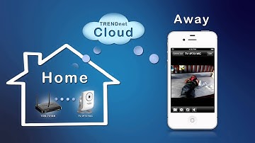 TRENDnet