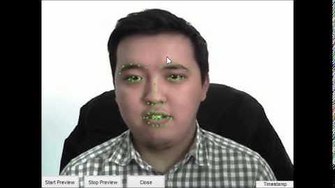 Face alignment by ABY Applied Systems, our funny staff