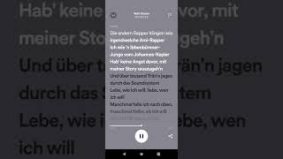 Walt Disney von Metrickz
