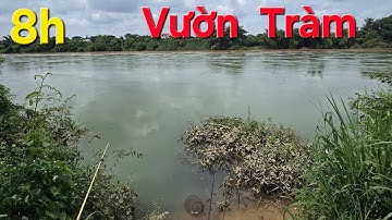 Câu  Cá nhà  máy mía đường  Những bãi  câu tốt  nhất  khi  Trị An  xã tràn.