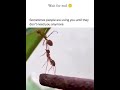 #workethics #lifemustgoon #believeinkarma #CreditofthevideotoUN