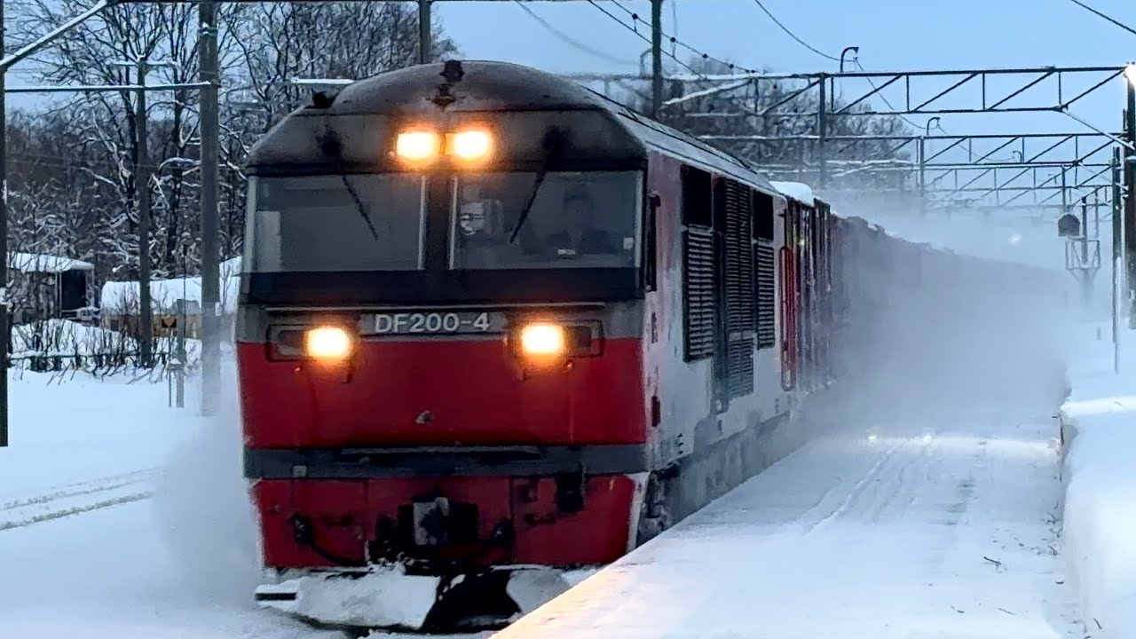 DF200牽引貨物列車　2025.12〜2026.1月函館本線にて撮影分［JR北海道/函館本線/JR貨物］ #JR北海道 #JR貨物 #DF200 #貨物列車 #函館本線 #REDBEAR