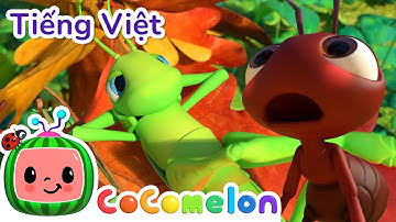 Kiến Và Châu Chấu | Tuyển tập nhạc thiếu nhi hay nhất | CoComelon Lồng tiếng việt