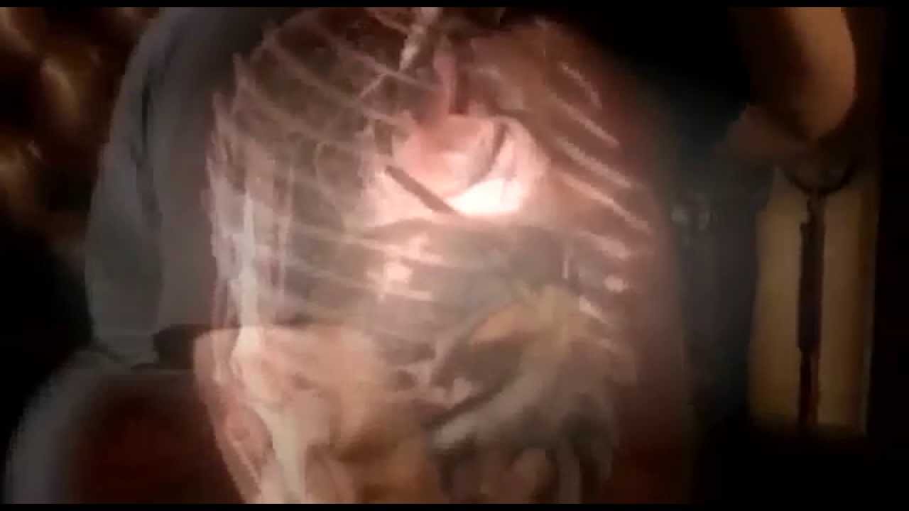 inside-the-living-body-documentary-new-national-geographic-channel-dp-youtube
