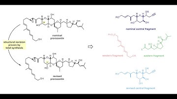 Total Syntheses of Nominal and Actual Prorocentin with Dr. Raphael Zachmann