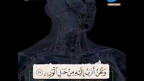 تلاوة تجويدية تعليمية // الشيخ محمد شعبان أبو قرن #مقاطع_دعوية Mohamed Shaaban Abu Qarn