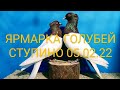 ЯРМАРКА ГОЛУБЕЙ. СТУПИНО. 05.02.22#голуби#голубеводство#ярмарка#pigeon#tauben