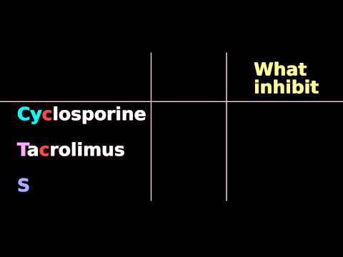 Video: Langzeitwirksamkeit Und Sicherheit Der Sirolimus-Therapie Bei Patienten Mit Lymphangioleiomyomatose