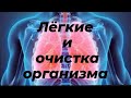 ЛЁГКИЕ и грибы,паразиты, вирусы, бактерии.          Очистка организма. 07.06.2024