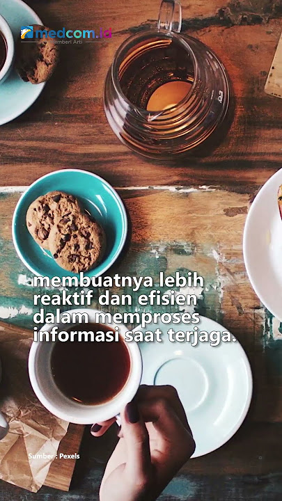 Begini Cara Kafein Memengaruhi Fungsi Otak Anda Saat Terlelap