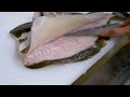 제주횟집 주방장의 물고기손질 영상 [4마리 10분컷] l 뼈긁는소리 너무 시원해
