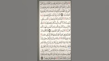سوره البقره صفحه في اليوم تسعد يومك بإذن الله تعالى #الابذكرالله_تطمئن_القلوب#قرآن #qorankarim