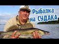Рыбалка на СУДАКА. Закрытие сезона 2021.