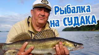 Рыбалка на СУДАКА. Закрытие сезона 2021.