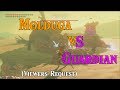Molduga VS Guardian! More EPIC than Ganon! (BotW Viewers Request) in Zelda Breath of the Wild DLC