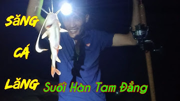 CÂU ĐIÊM SĂNG CÁ LĂNG LÀ RẤT HIỆU QUẢ