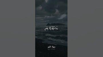 Quran Kareem story 🌸WhatsApp أجمل قرائه قرآن كريم حالات واتس 🍃 《 سوره الحجر 》