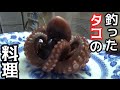 磯で釣ったイイダコとキジハタの干物料理！