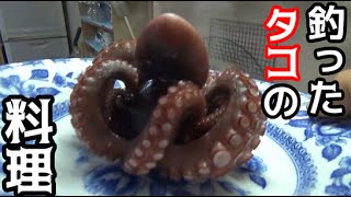 磯で釣ったイイダコとキジハタの干物料理！
