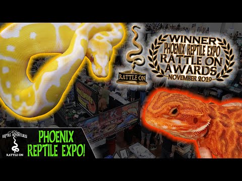 PHOENIX REPTILE EXPO! - YouTube