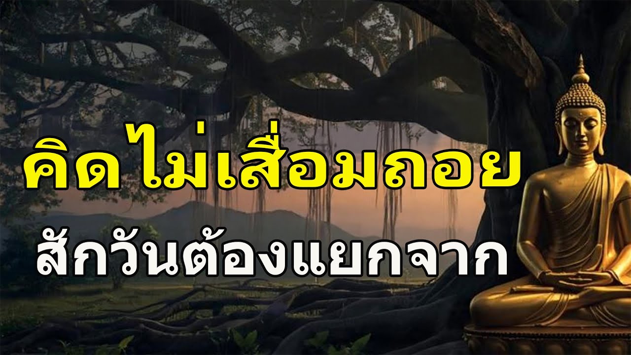 ฟังธรรมก่อนนอน ได้บุญมาก ใจสงบ | ฟังแล้วชีวิตค่อยๆดีขึ้น หลับลึกถึงเช้า