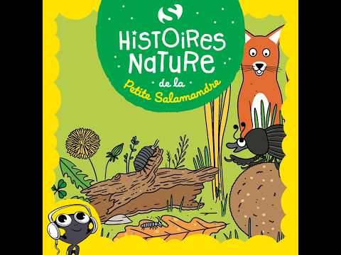 Les mini-nettoyeurs