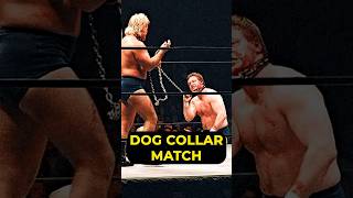 Roddy Piper Vs Greg Valentine @StevieRichardsShow