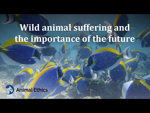 Wild animal suffering