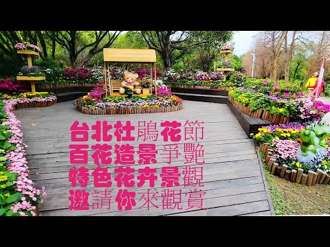 台北杜鵑花節，特色花卉景觀全記錄！2023台北杜鵑花節-大安森林公園 Taipei Rhododendron Festival-Hundreds of Flowers