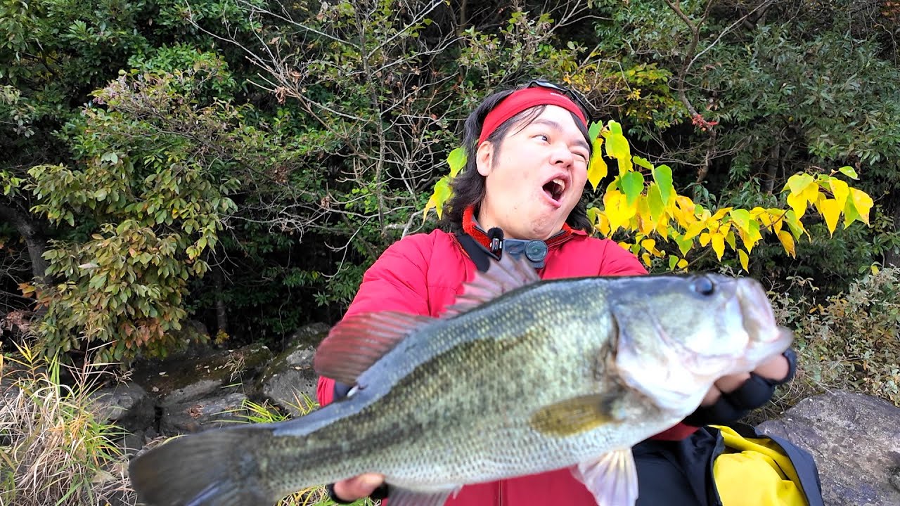 初心者の前でデカバスを釣るマスゲンさんw