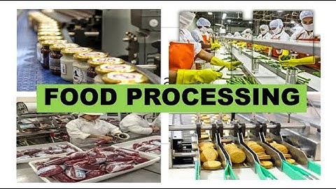 FOOD PROCESSING, METHODS OF FOOD PROCESSING