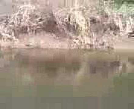 life facebook You have new Picture Mail! (video)