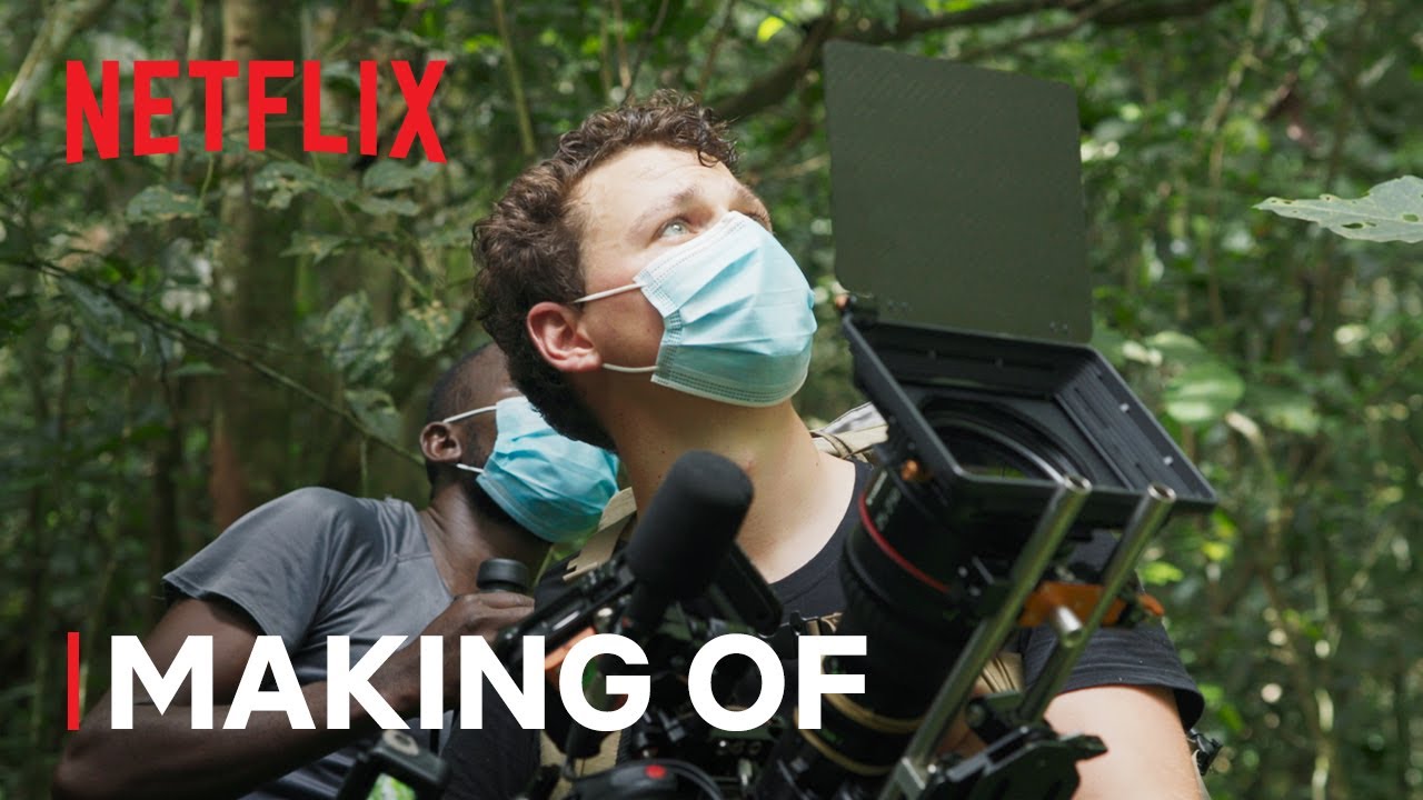 The Making Of Chimp Empire | Netflix