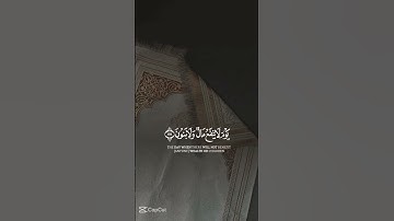ولا تخزني يوم يبعثون يوم لا ينفع مال ولا بنون الا من اتى الله بقلب سليم قران كريم قران يتلى