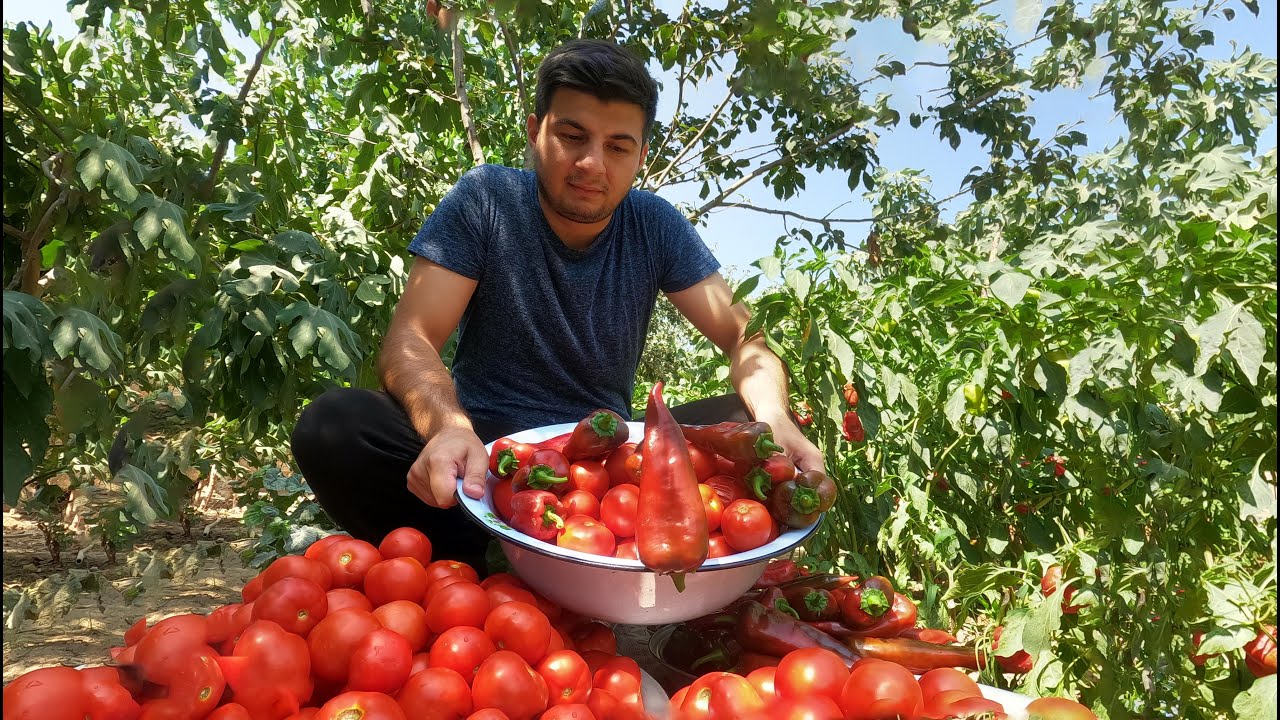 KETCUPUN HAZIRLANMASI / KETCUP RESEPTİ/ Evdə ketcup hazırlanması ...