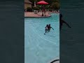More Swim Techniques (5)