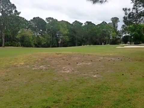 813 Sea Duck Dr, Daytona Beach, FL home video tour