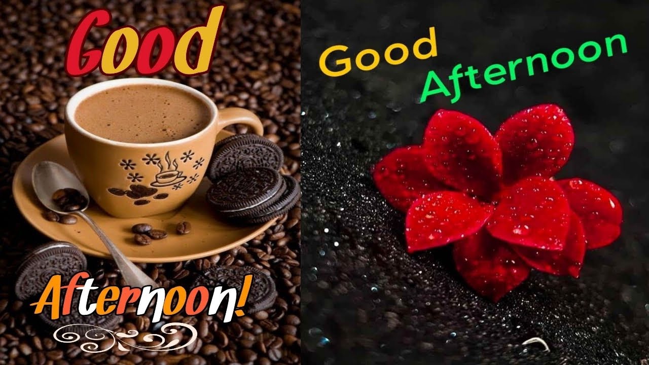 Good Afternoon Status | Good Afternoon Love - YouTube