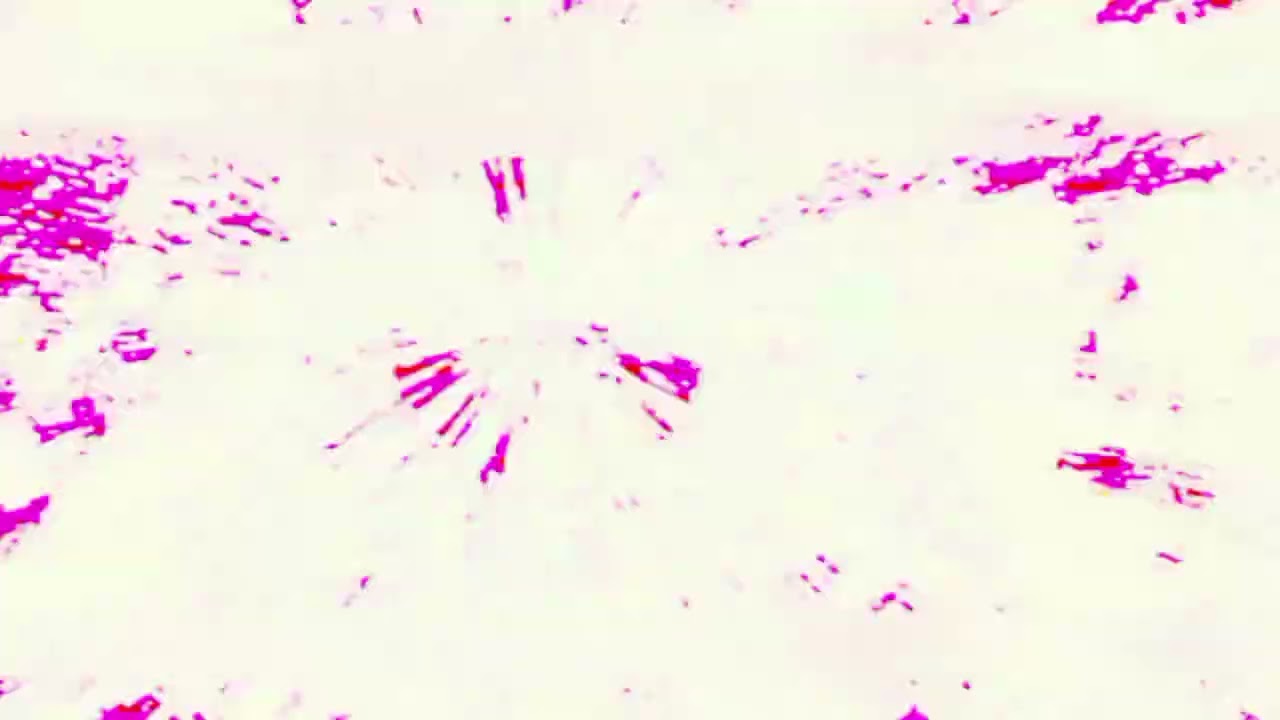 ŢҺ& Ɖ£Ɯð[\]!6 áফಝಢಔႰႴಢᶙṤᶤᷔᷙ