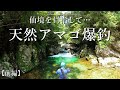 【仙境】天然アマゴ爆釣の大冒険！巨岩だらけの渓流を遡行する【渓流釣り】