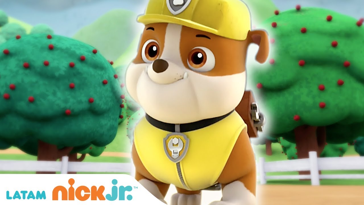 PAW Patrol, patrulla de cachorros | 🟡 Lo Mejor de Rubble! 🟡 | Nick Jr. en Español